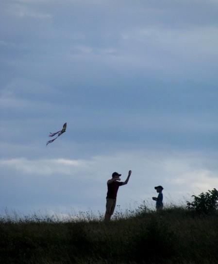 Drachen auf der Heide