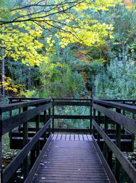 Perchtoldsdorfer Herbst