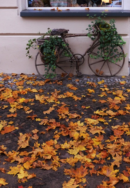 Fahrrad im Herbst