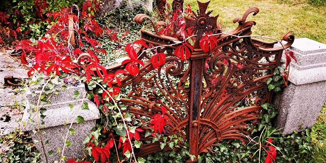 Herbst am Zentralfriedhof